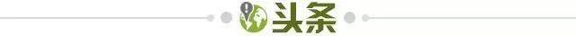 半岛体育官网-【早报】荷兰帮，集结！